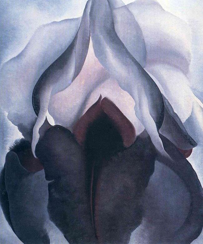 “Lirio negro III”, de Georgia O’Keeffe (1926).
